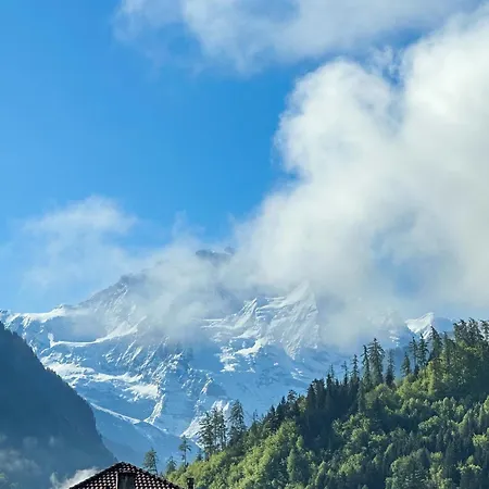 Harder Minerva Hotel Interlaken