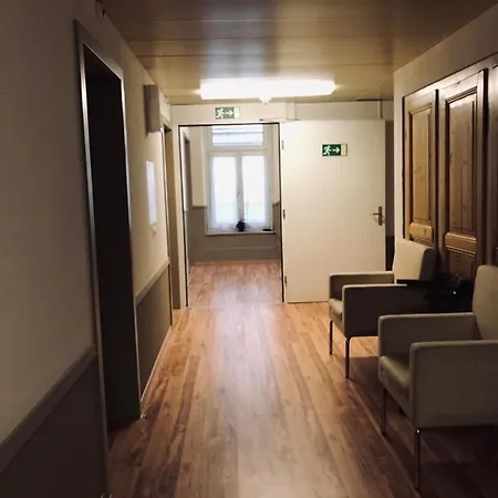 Hotel Harder Minerva Interlaken