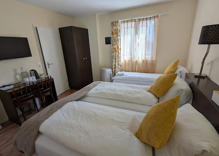 Harder Minerva Hotel Interlaken