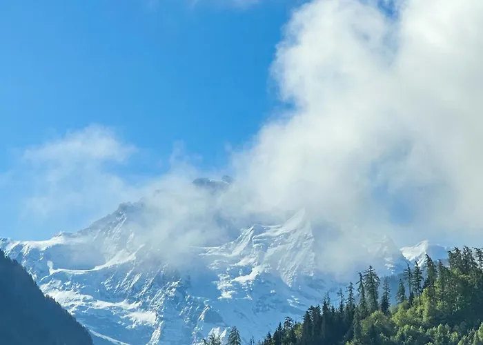 Harder Minerva Hotel Interlaken